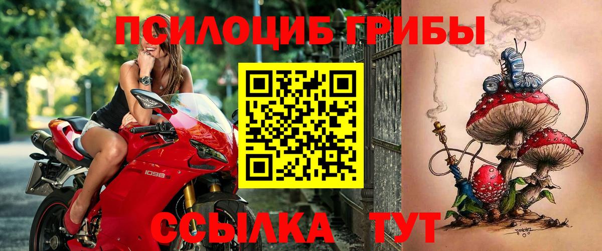 Галлюциногенные грибы Cubensis Хасавюрт