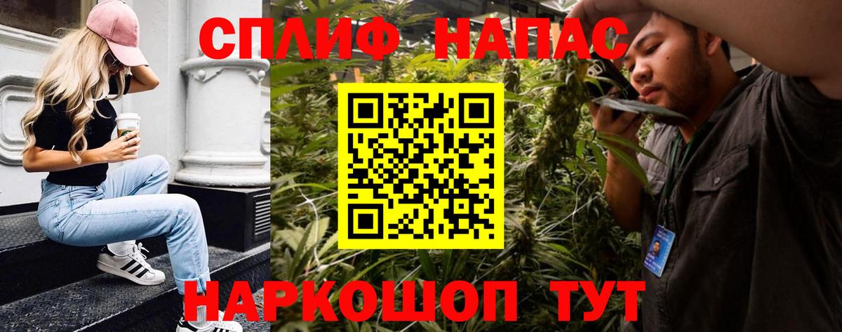 Канабис сатива Хасавюрт